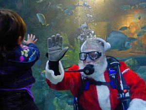 santa dive