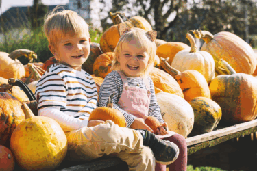 fun in the fall