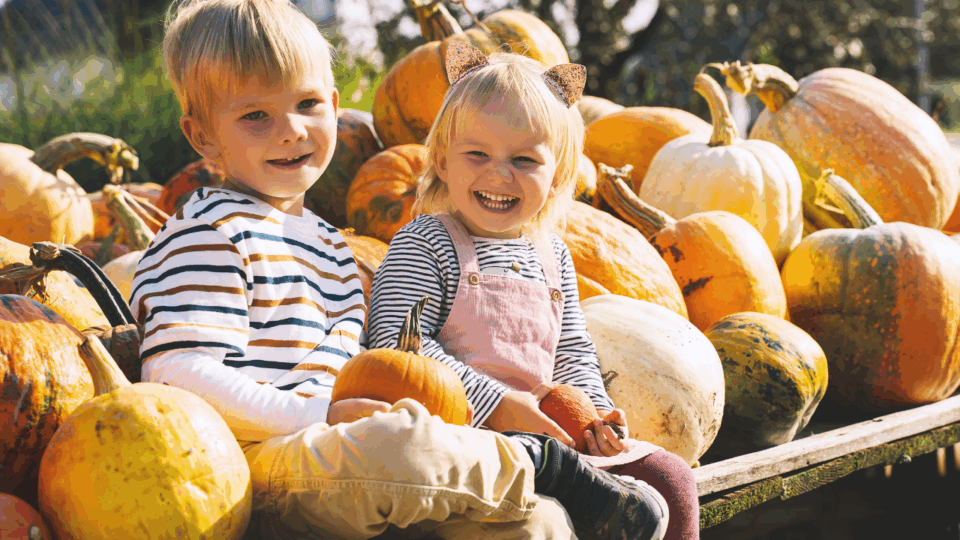fun in the fall