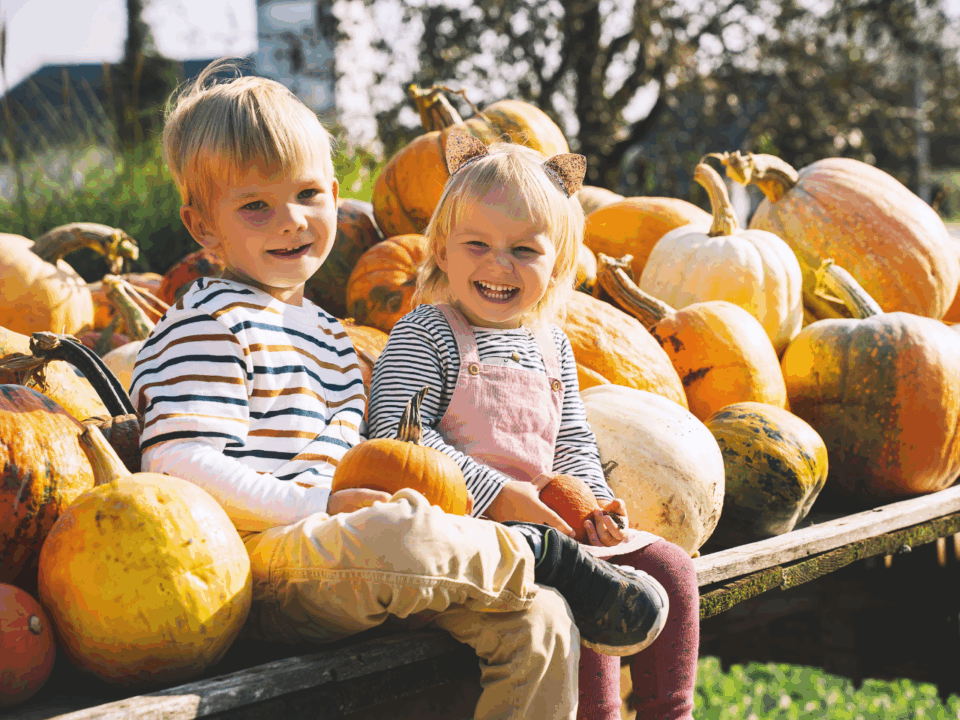 fun in the fall