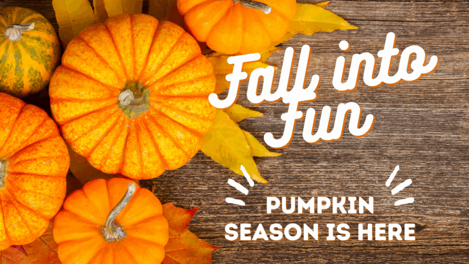 Fall into Fun