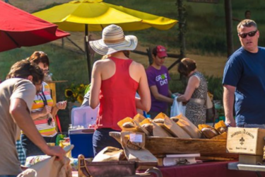 farmers market in new orleans